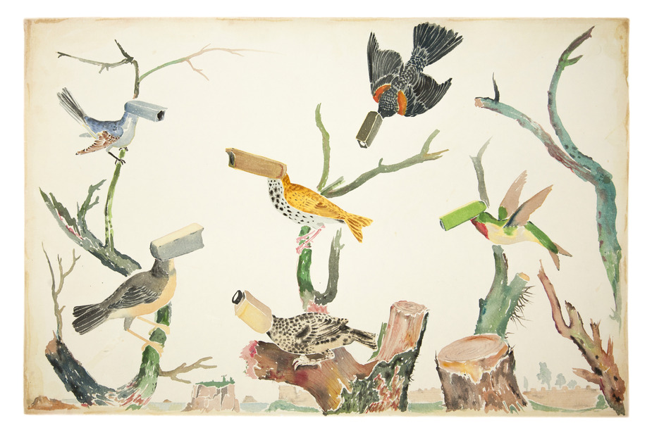 Sky Eye ·&nbsp;《天⽬》